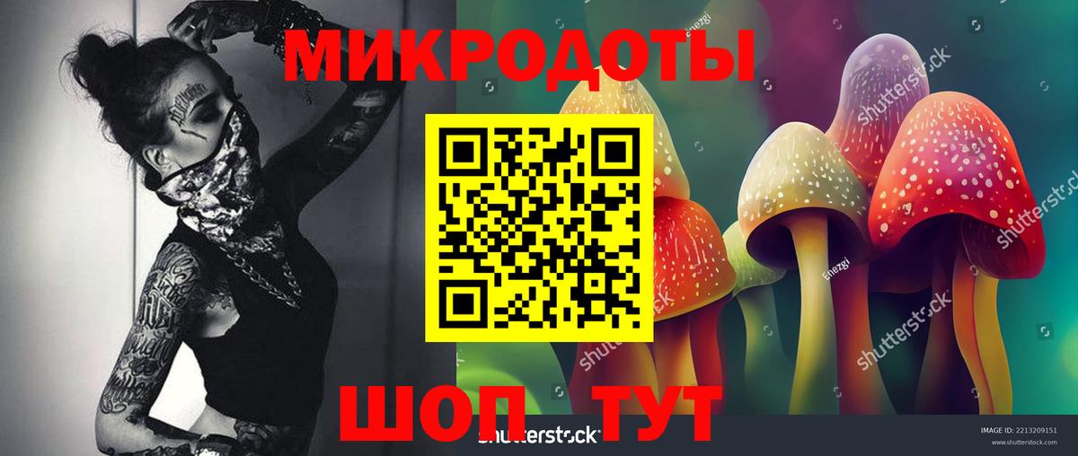 Псилоцибиновые грибы мухоморы  Вход с VPN  как найти   Ялта 